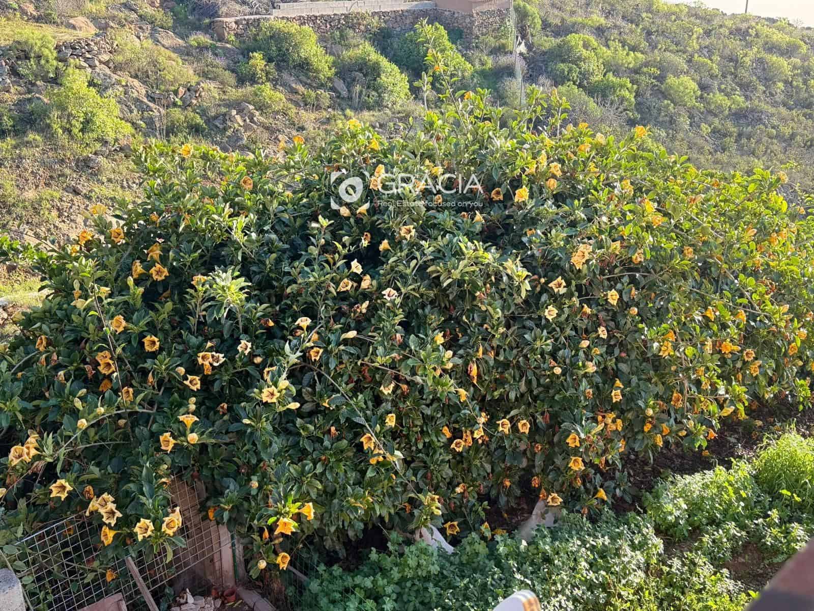 6 slaapkamer Villa te koop in Tijoco Bajo met garage - € 950.000 (Ref: 9687538)