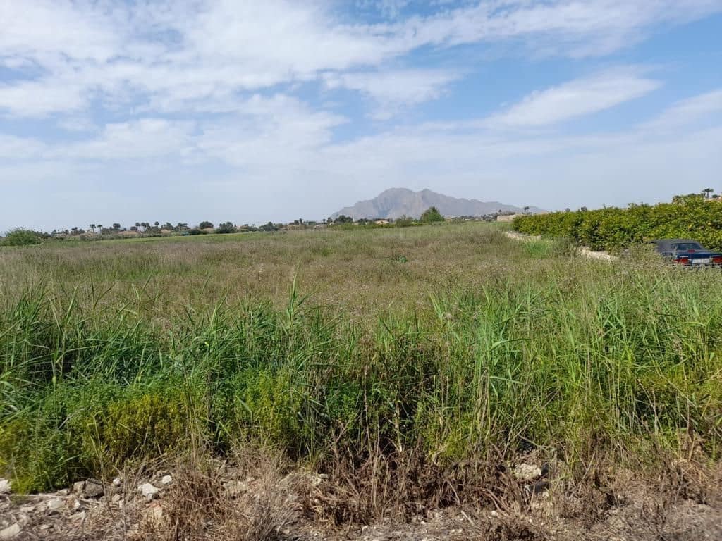 Grond te koop in Torrevieja - € 112.000 (Ref: 8065722)