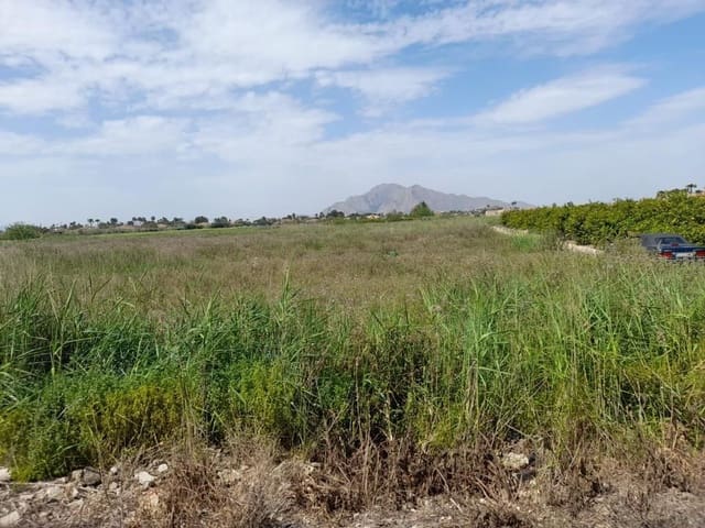 Undeveloped Land for sale in Torrevieja - € 112,000 (Ref: 8065722)