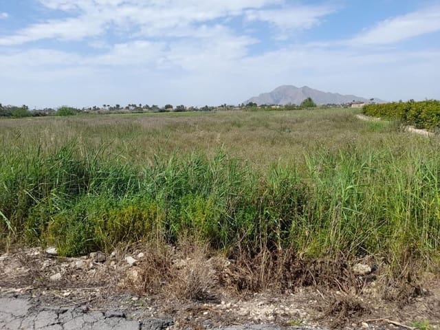 Undeveloped Land for sale in Torrevieja - € 112,000 (Ref: 8065722)