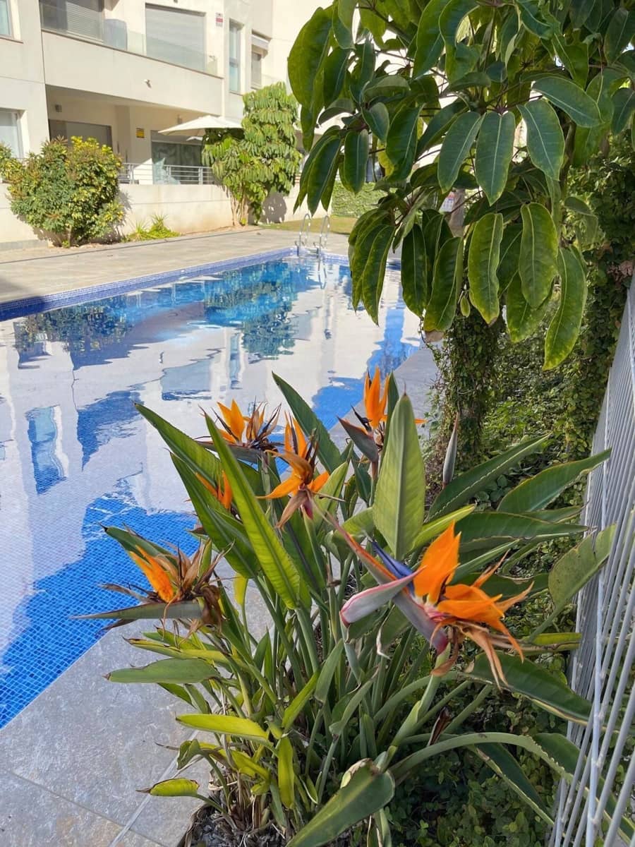 2 chambre Appartement à vendre à Torrevieja avec piscine garage - 265 000 € (Ref: 8741064)