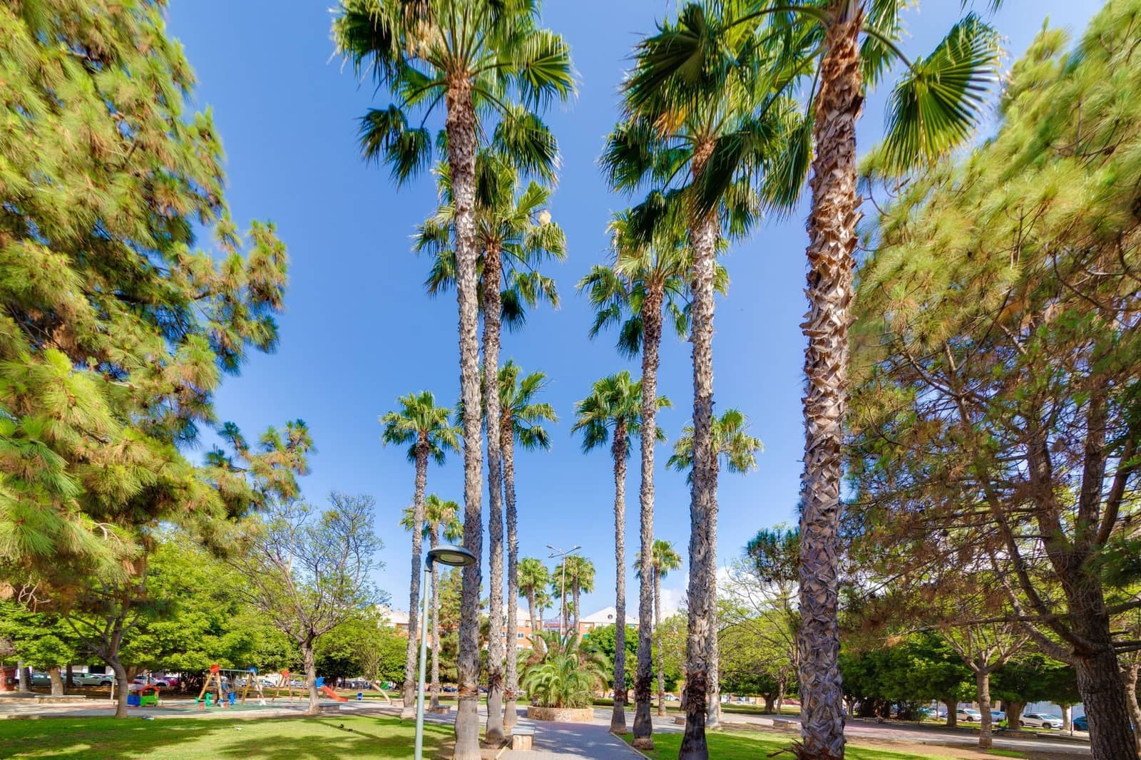 3 makuuhuone Huoneisto myytävänä paikassa Torrevieja - 162 000 € (Ref: 8856799)