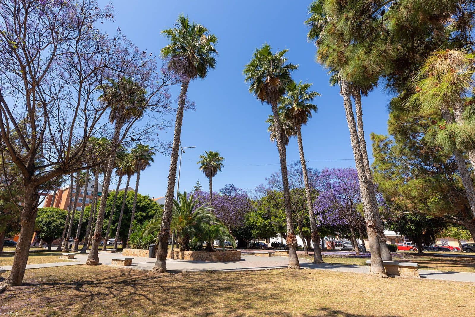 3 camera da letto Attico in vendita in Torrevieja - 175.000 € (Rif: 9098902)