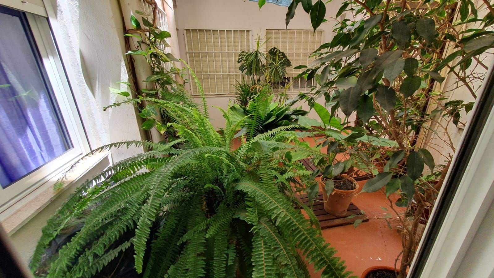 2 sypialnia Apartament na sprzedaż w Torrevieja z basenem - 135 000 € (Ref: 9111876)