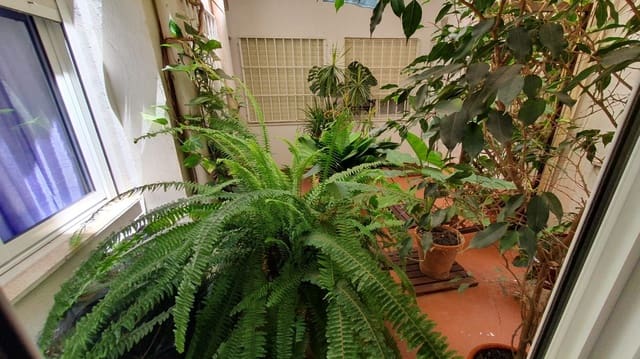 2 quarto Apartamento para venda em Cabo Cervera, Torrevieja com piscina - 135 000 € (Ref: 9111876)