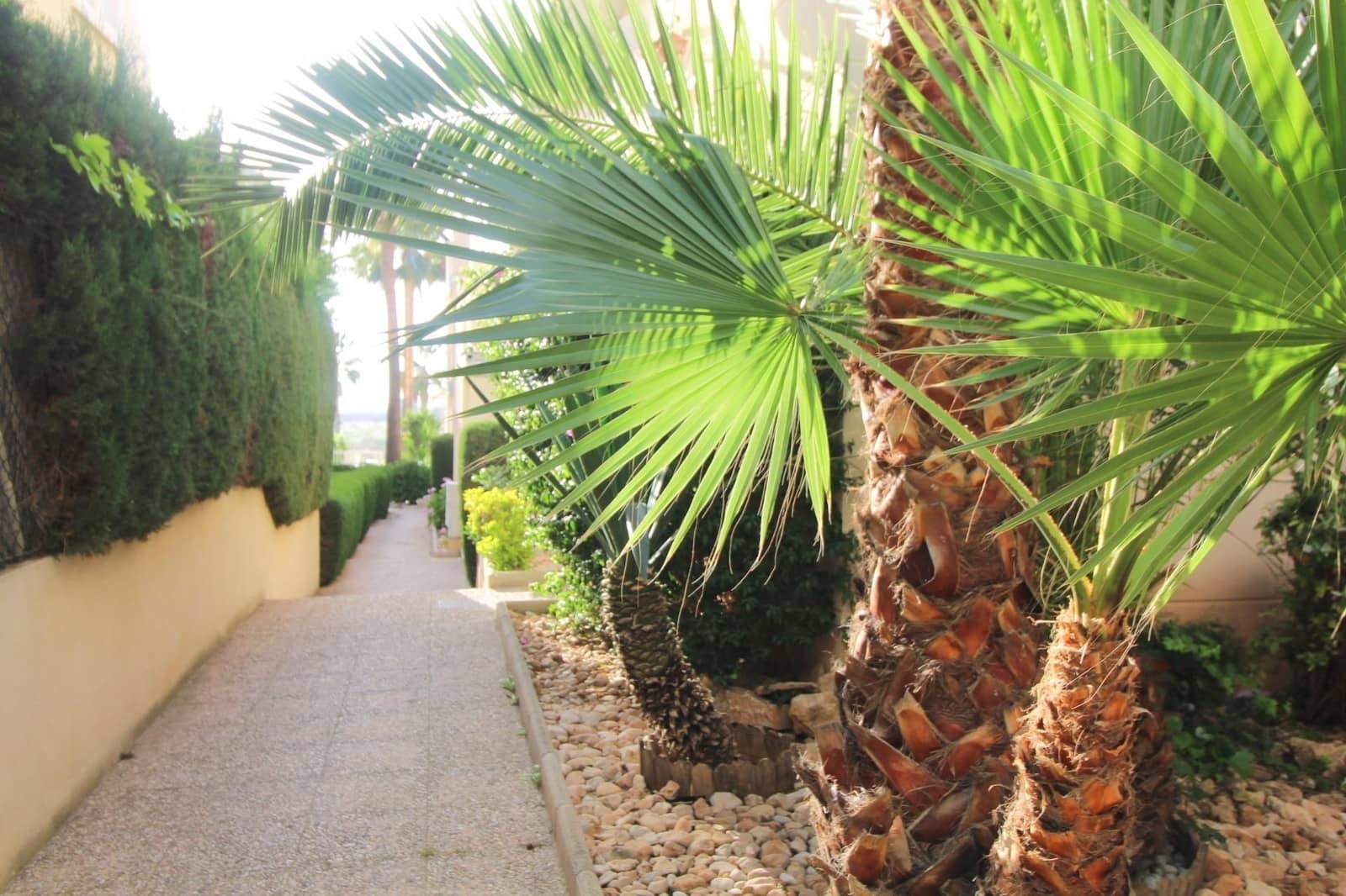 3 soverom Leilighet til salgs i Torrevieja - € 199 900 (Ref: 9310519)