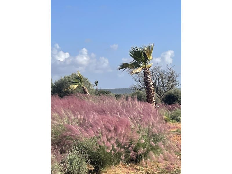 4 soverom Villa til salgs i Campos - € 2 200 000 (Ref: 9033560)