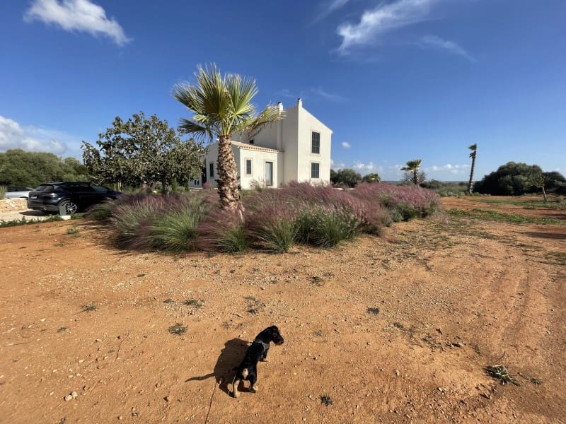 4 soverom Villa til salgs i Campos - € 2 200 000 (Ref: 9033560)