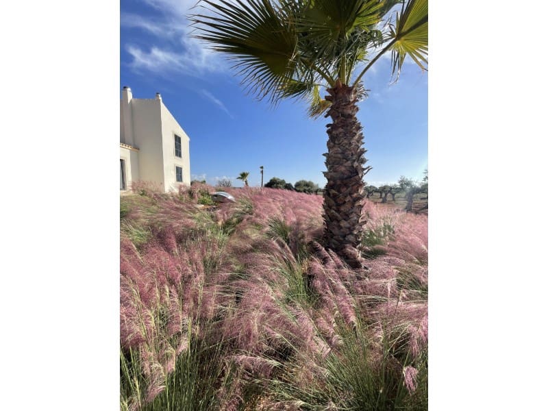 4 soverom Villa til salgs i Campos - € 2 200 000 (Ref: 9033560)