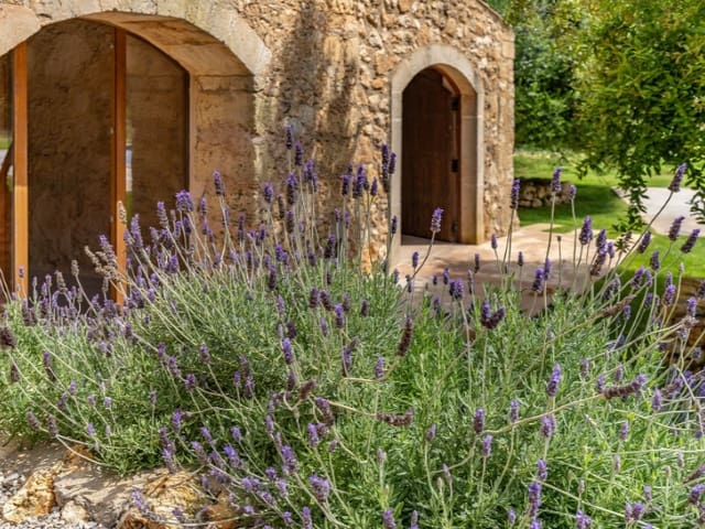 5 slaapkamer Finca/Landhuis te koop in Manacor - € 2.250.000 (Ref: 9091910)