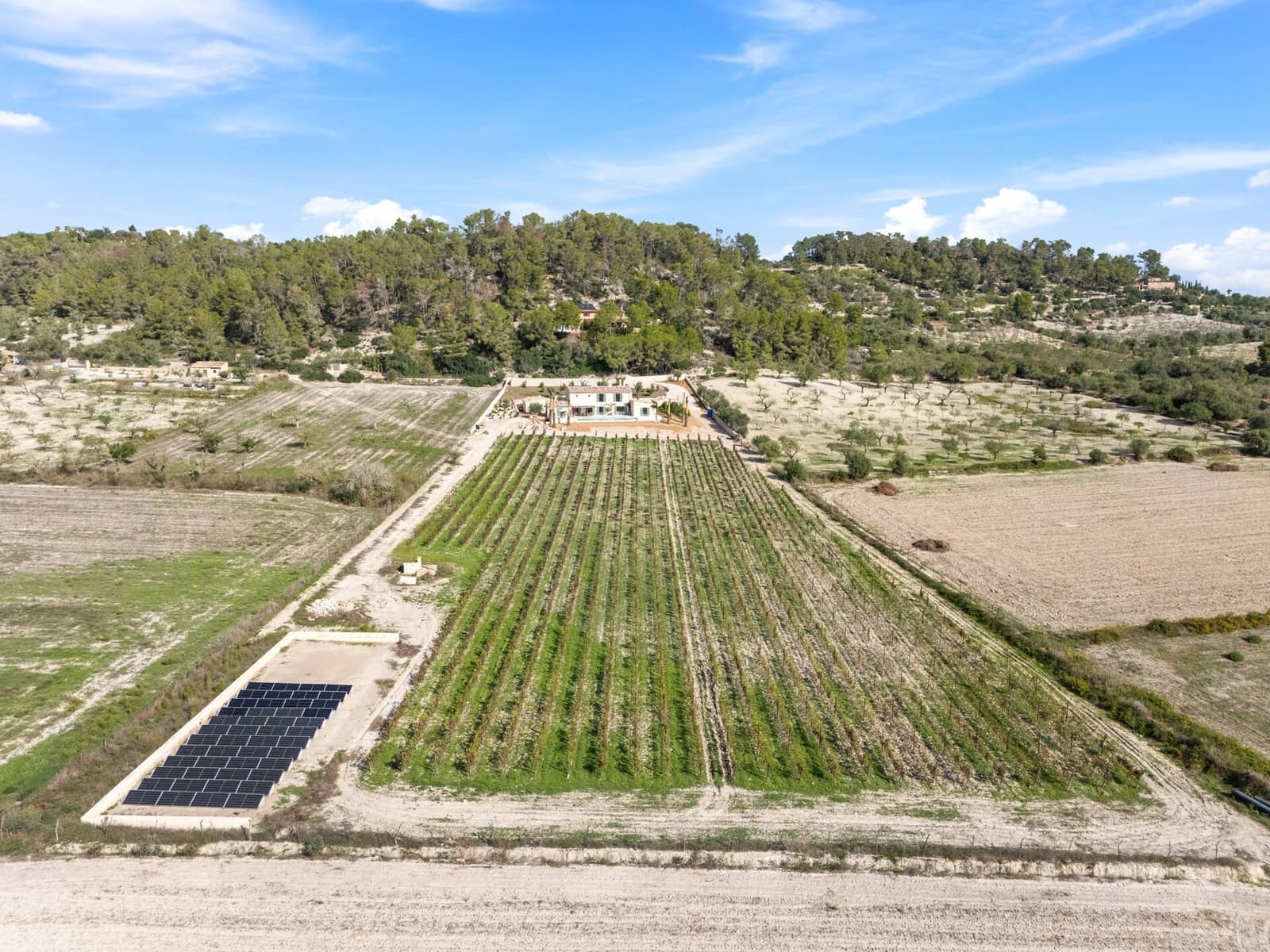 6 chambre Finca/Maison de Campagne à vendre à Montuiri - 5 900 000 € (Ref: 9593092)