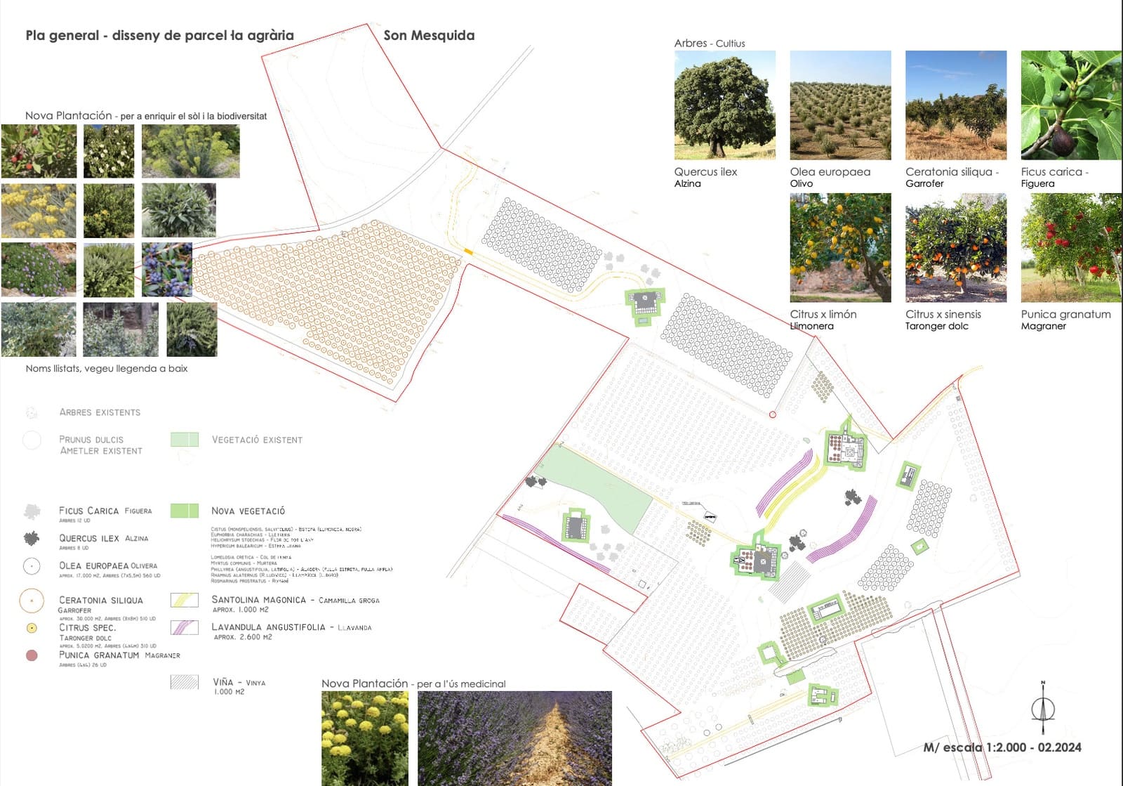 14 camera da letto Finca/Casa di Campagna in vendita in Algaida con piscina - 17.500.000 € (Rif: 9594640)