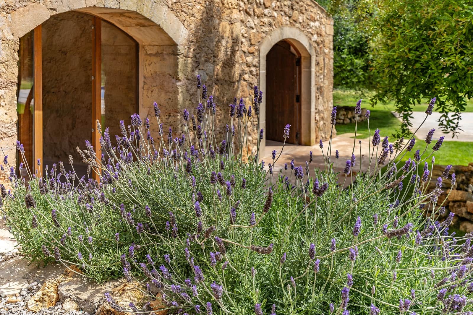 5 soveværelse Finca/Landehus til salg i Manacor - € 2.250.000 (Ref: 9594649)