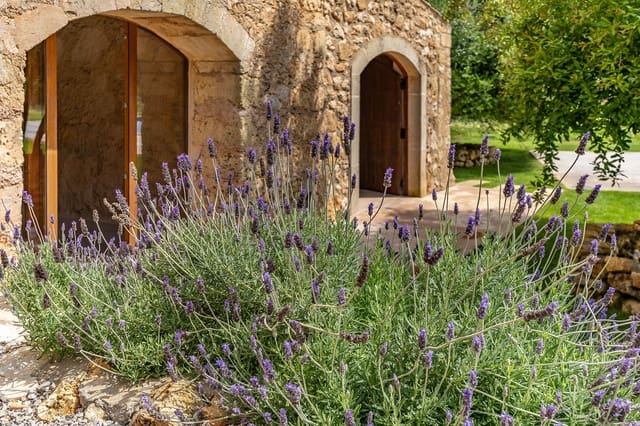 5 soveværelse Finca/Landehus til salg i Manacor - € 2.250.000 (Ref: 9594649)