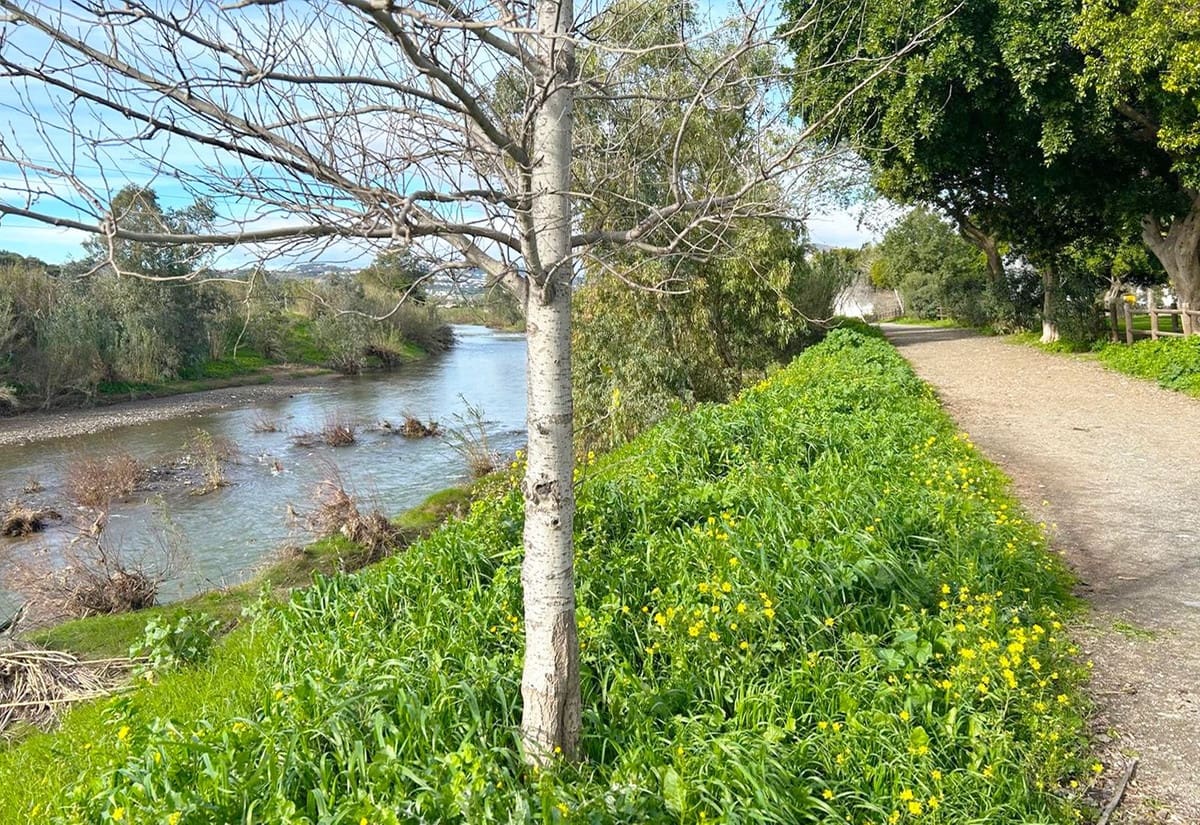 2 soveværelse Penthouse til salg i Mijas Golf med swimmingpool garage - € 345.000 (Ref: 9756616)