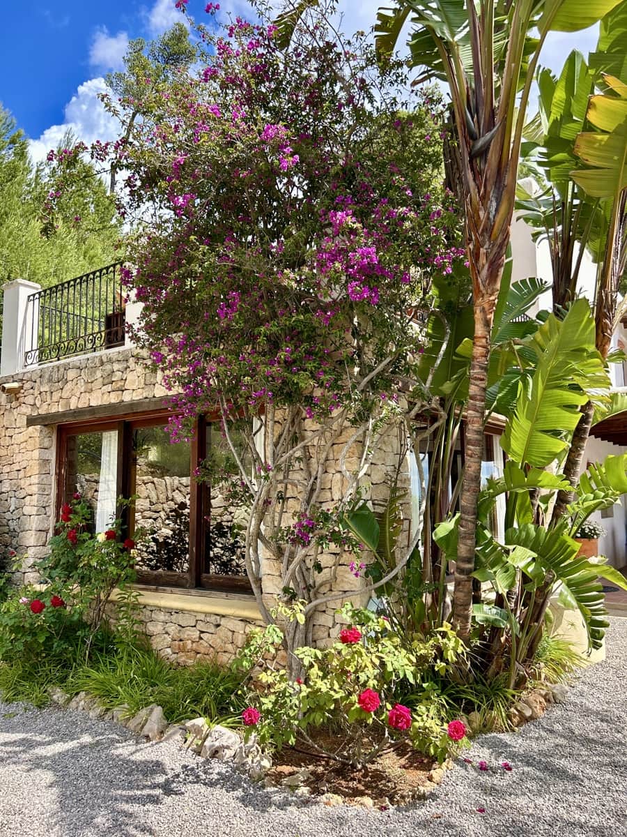 3 soveværelse Finca/Landehus til leje i Sant Joan de Labritja med swimmingpool garage - € 9.500 (Ref: 9848269)