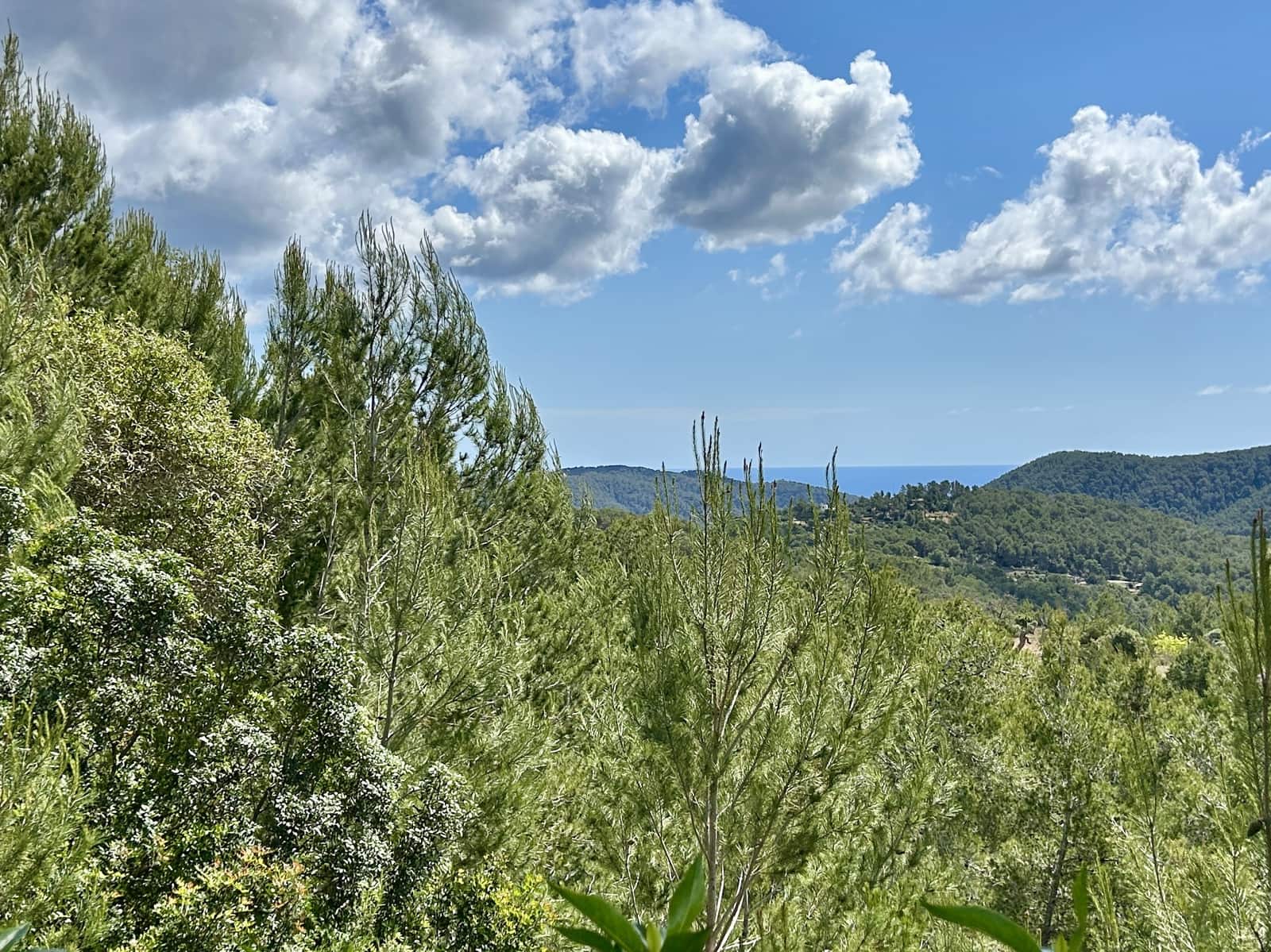 3 soveværelse Finca/Landehus til leje i Sant Joan de Labritja med swimmingpool garage - € 9.500 (Ref: 9848269)