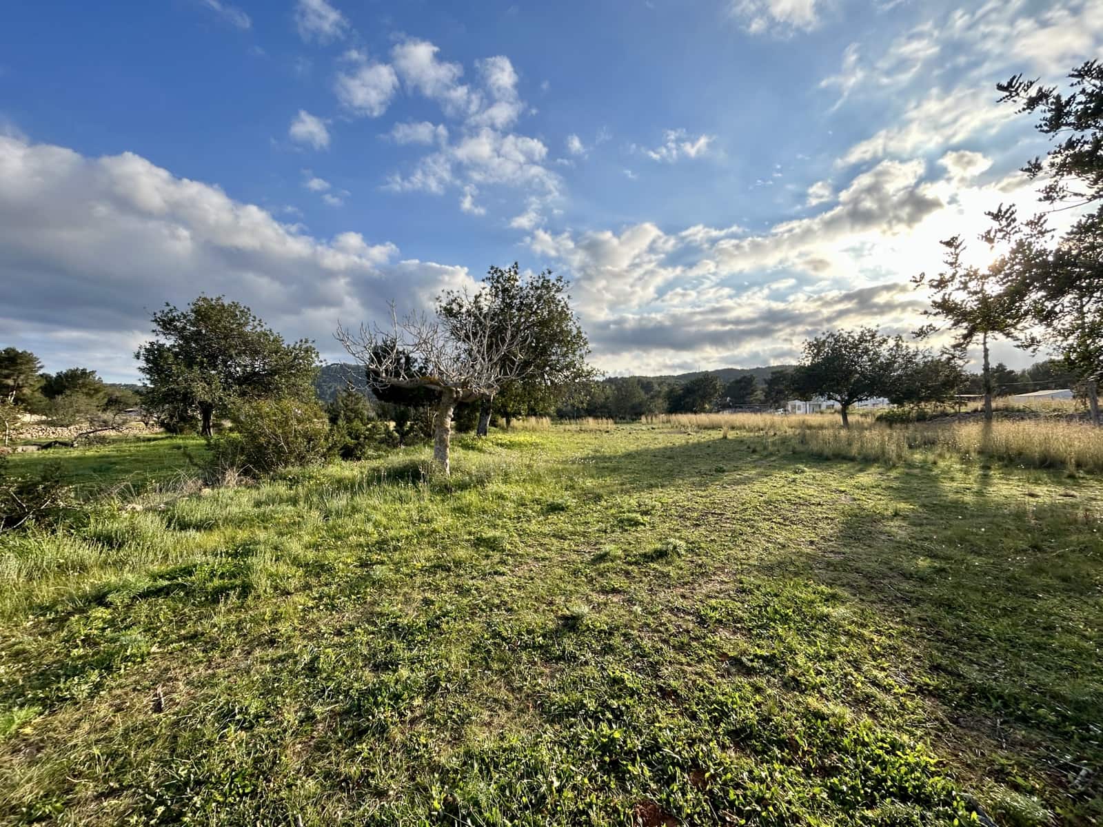 Rakentamaton maa myytävänä paikassa Sant Carles de Peralta - 960 000 € (Ref: 9849838)