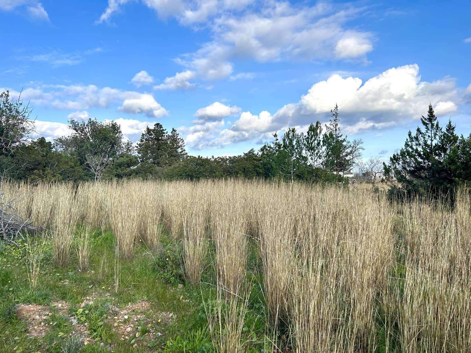 Rakentamaton maa myytävänä paikassa Sant Carles de Peralta - 960 000 € (Ref: 9849838)