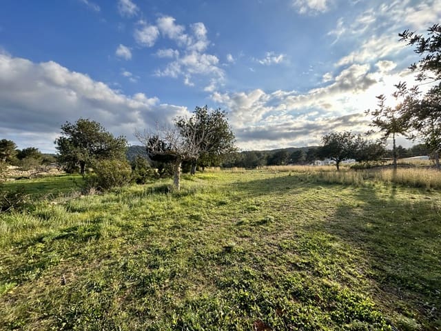 Rakentamaton maa myytävänä paikassa Sant Carles de Peralta, Santa Eulalia / Santa Eularia - 960 000 € (Ref: 9849838)