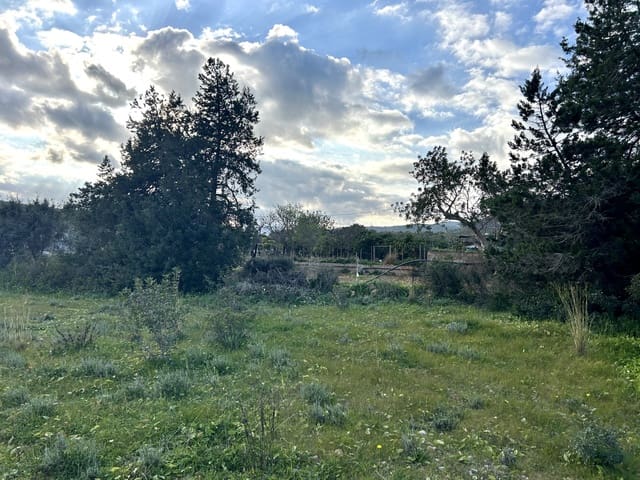 Rakentamaton maa myytävänä paikassa Sant Carles de Peralta, Santa Eulalia / Santa Eularia - 960 000 € (Ref: 9849838)