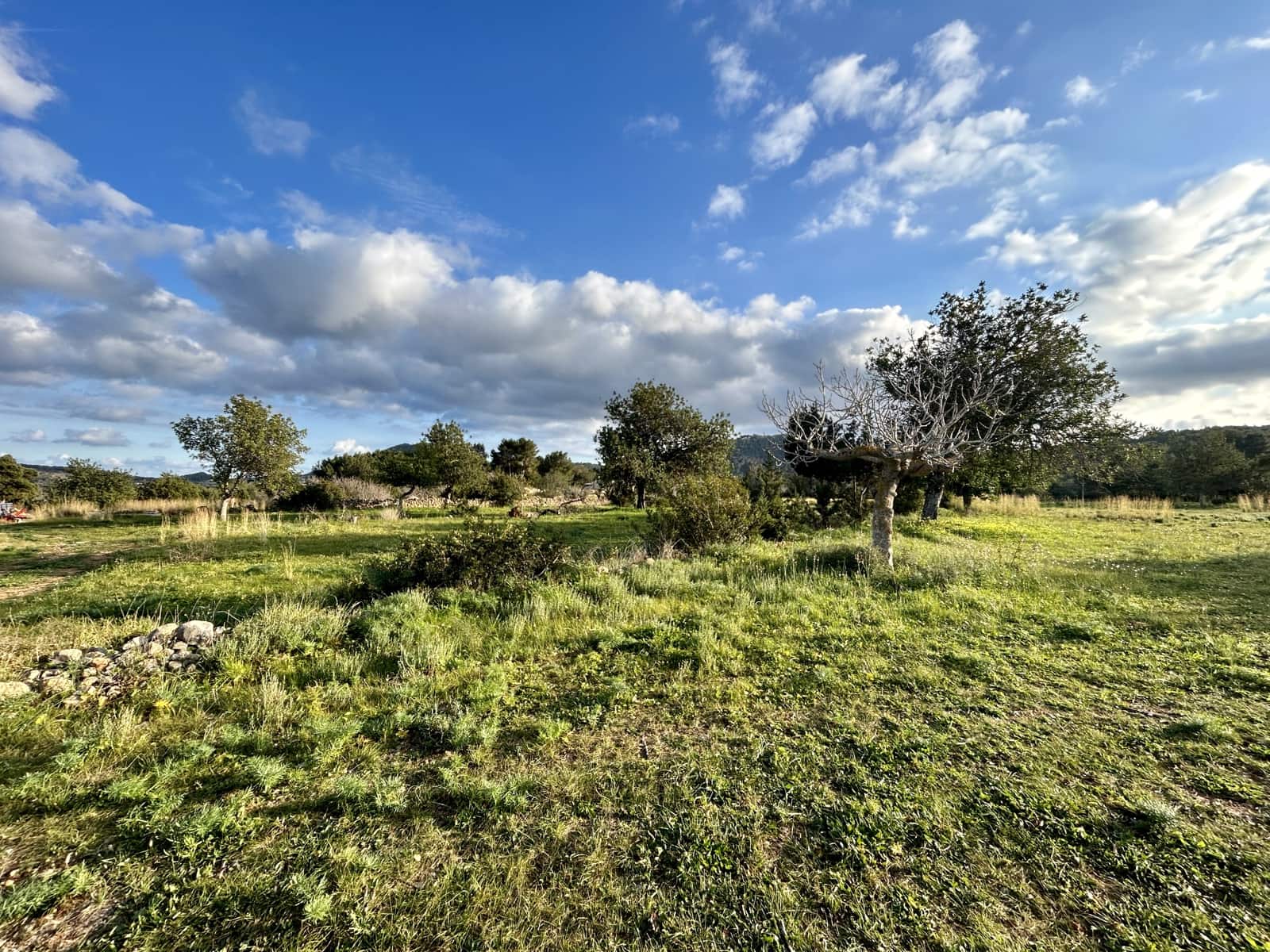 Rakentamaton maa myytävänä paikassa Sant Carles de Peralta - 960 000 € (Ref: 9849838)