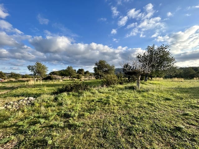 Rakentamaton maa myytävänä paikassa Sant Carles de Peralta, Santa Eulalia / Santa Eularia - 960 000 € (Ref: 9849838)
