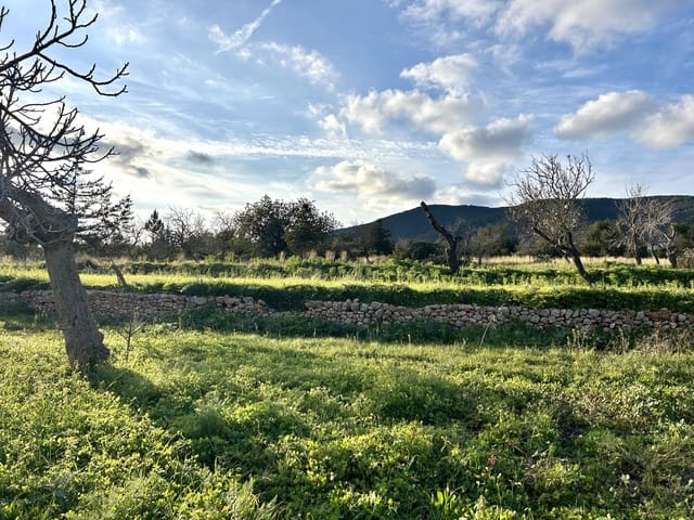 Rakentamaton maa myytävänä paikassa Sant Carles de Peralta, Santa Eulalia / Santa Eularia - 960 000 € (Ref: 9849838)