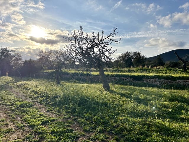 Rakentamaton maa myytävänä paikassa Sant Carles de Peralta, Santa Eulalia / Santa Eularia - 960 000 € (Ref: 9849838)