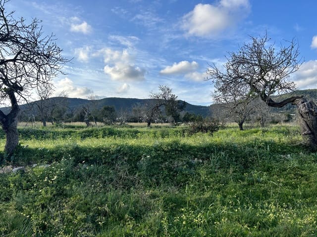 Rakentamaton maa myytävänä paikassa Sant Carles de Peralta, Santa Eulalia / Santa Eularia - 960 000 € (Ref: 9849838)