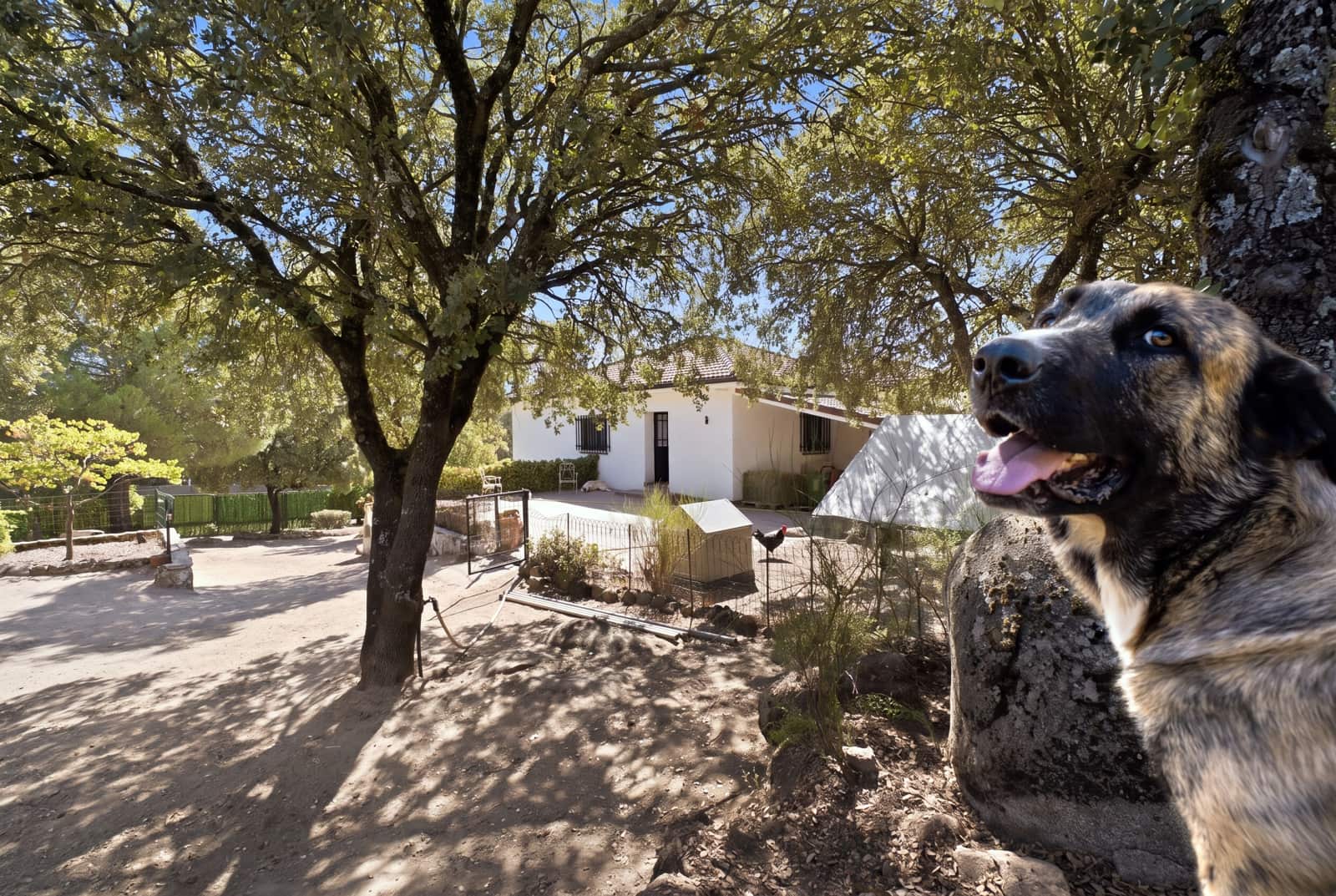6 soverom Finca/Herregård til salgs i El Escorial med garasje - € 950 000 (Ref: 10155823)