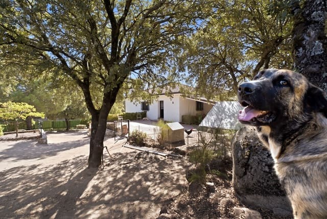 6 quarto Quinta/Casa Rural para venda em El Escorial com garagem - 950 000 € (Ref: 10155823)