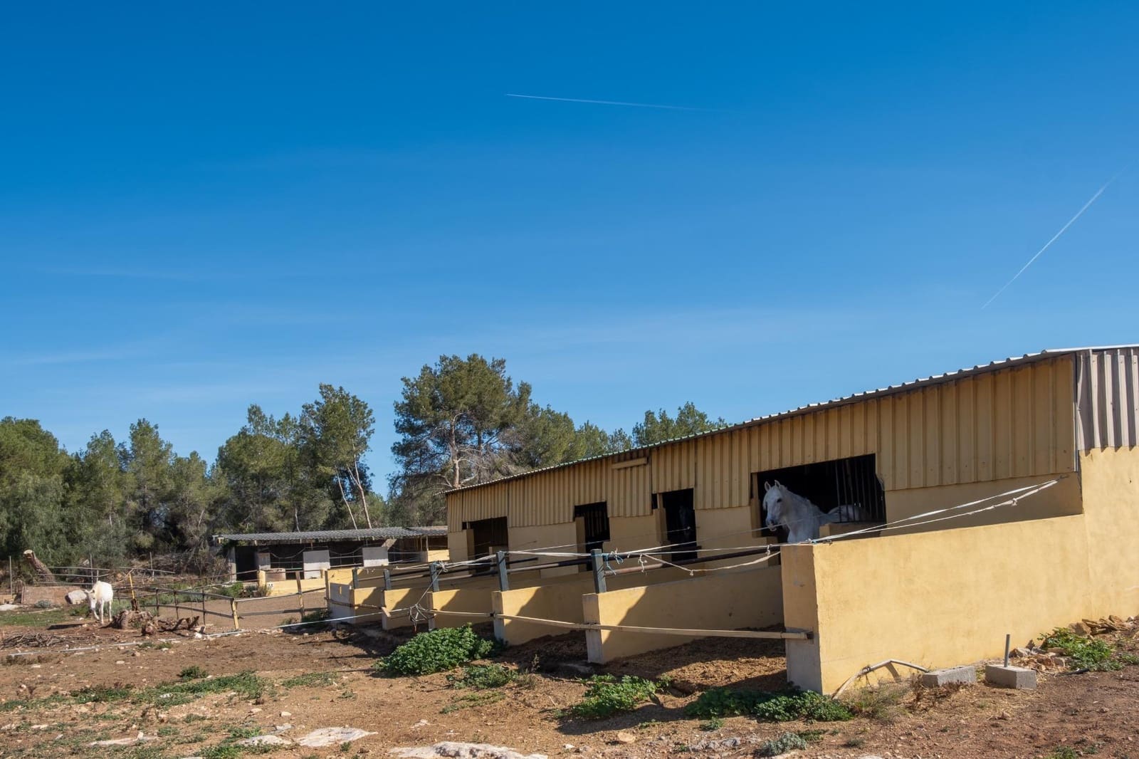 5 soveværelse Finca/Landehus til salg i Betera med swimmingpool garage - € 1.050.000 (Ref: 8668437)