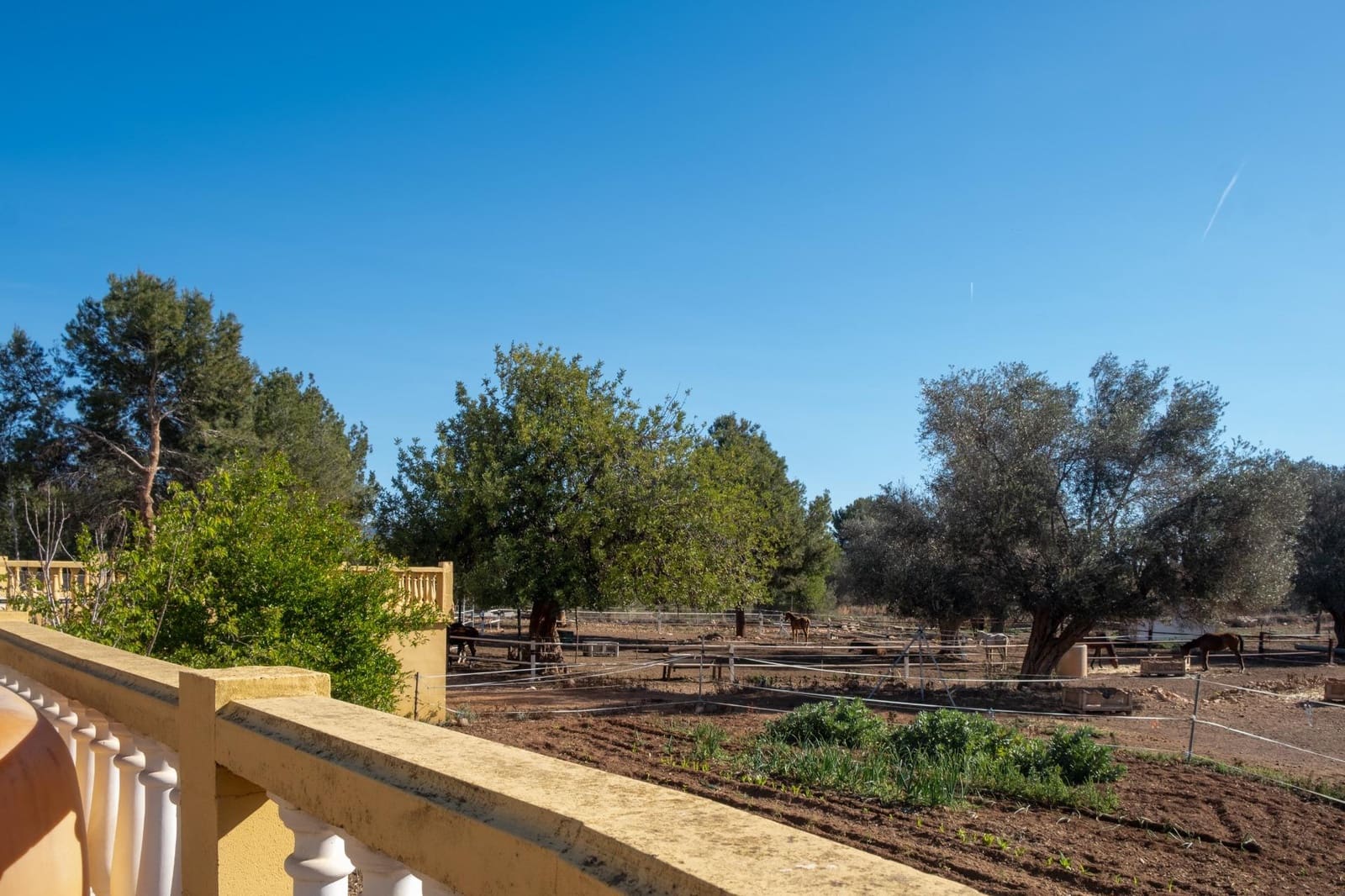 5 soveværelse Finca/Landehus til salg i Betera med swimmingpool garage - € 1.050.000 (Ref: 8668437)