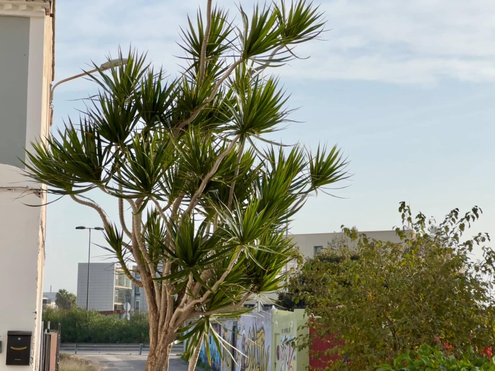 3 soveværelse Lejlighed til salg i Valencia by - € 299.500 (Ref: 8682346)