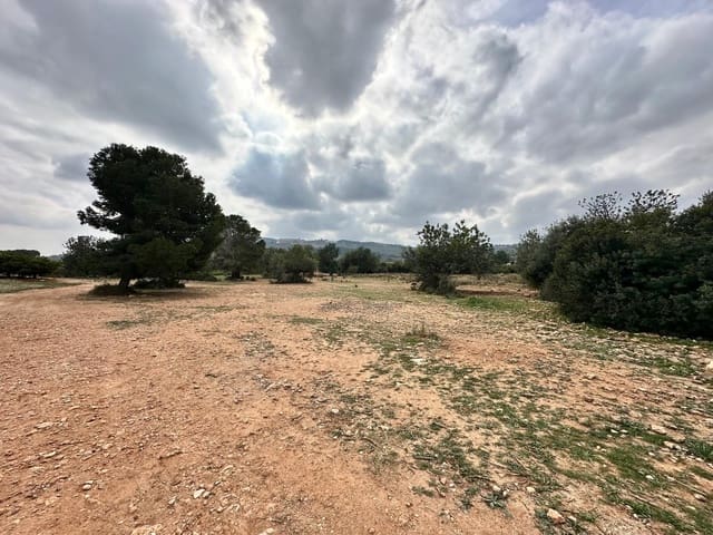 Terreno Não Urbanizado para venda em Chiva - 18 000 € (Ref: 8886129)