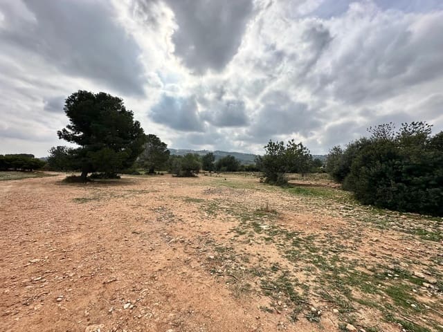 Terreno Não Urbanizado para venda em Chiva - 18 000 € (Ref: 8886129)