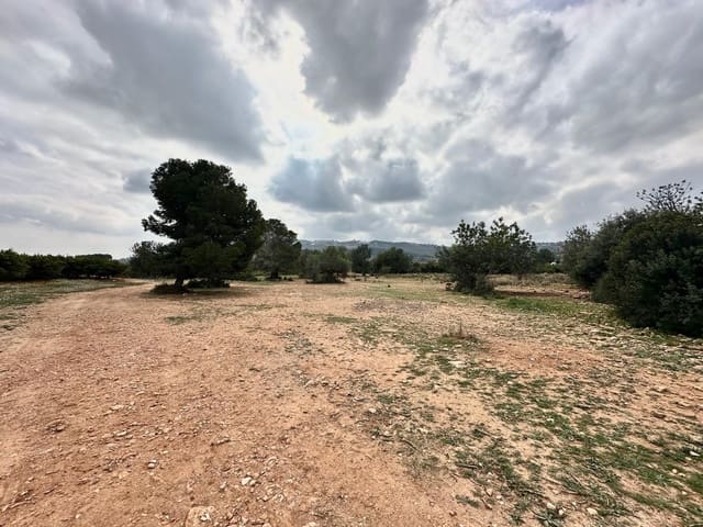 Terreno Não Urbanizado para venda em Chiva - 18 000 € (Ref: 8886129)