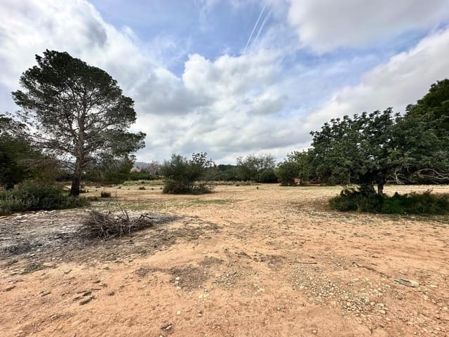 Terreno Não Urbanizado para venda em Chiva - 18 000 € (Ref: 8886129)