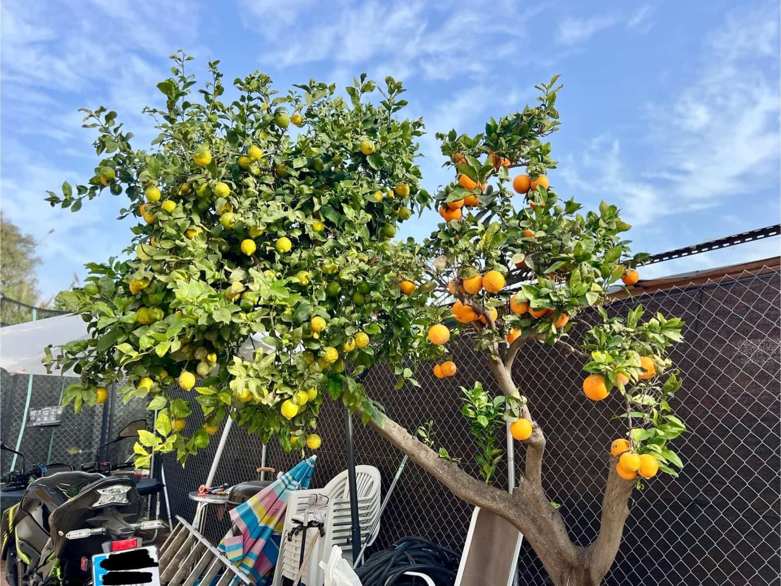 3 soverom Finca/Herregård til salgs i Valencia by - € 299 500 (Ref: 9073506)