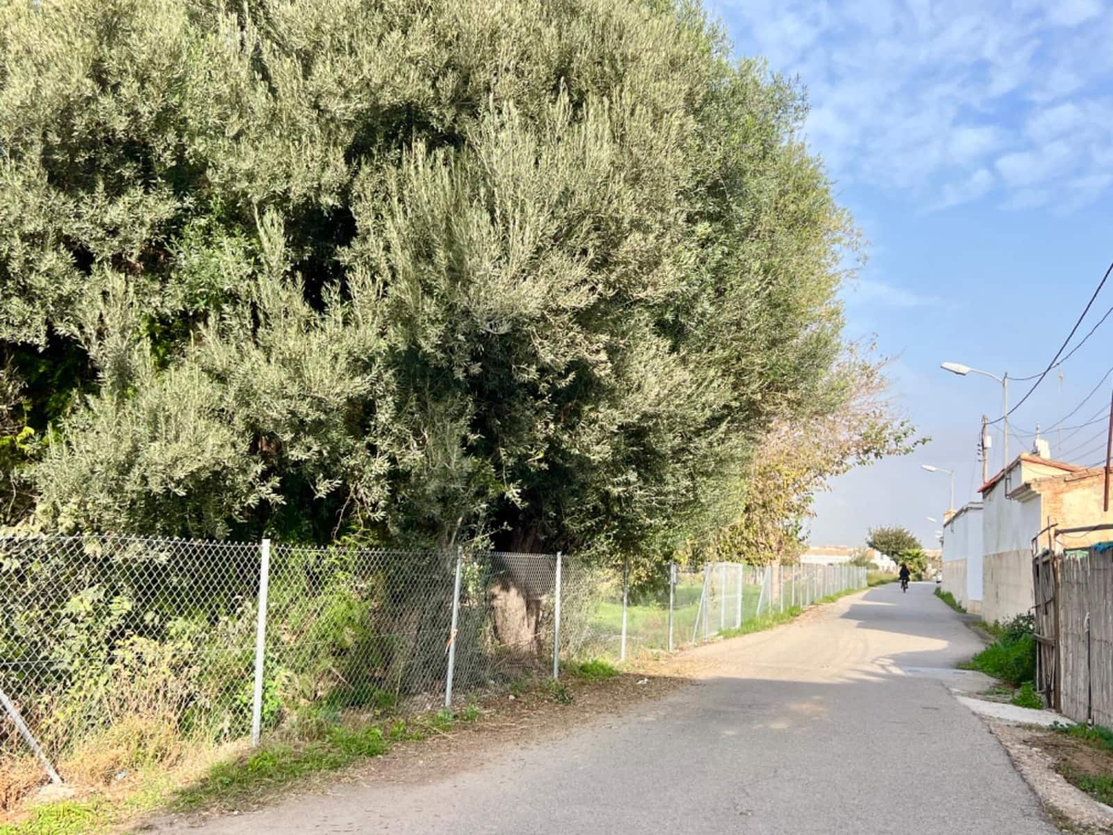 3 soverom Finca/Herregård til salgs i Valencia by - € 299 500 (Ref: 9073506)