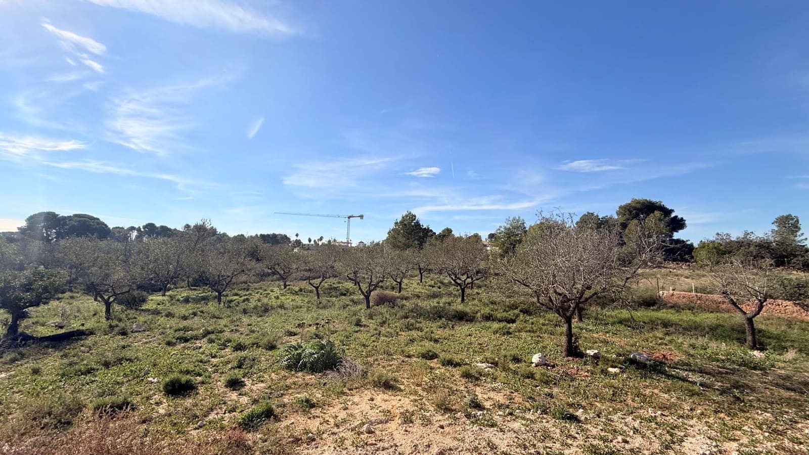 Building Plot for sale in Betera - € 206,000 (Ref: 9411067)