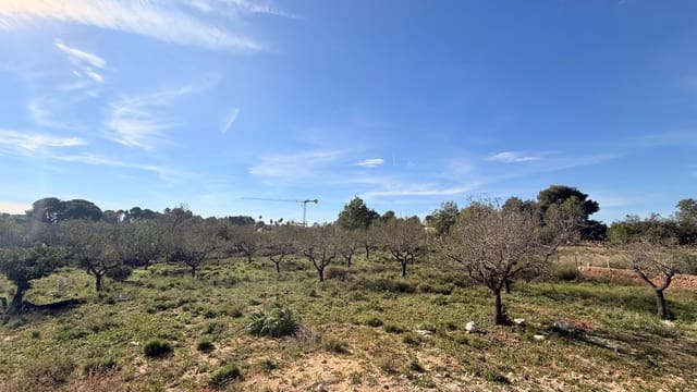 Building Plot for sale in Bétera - € 206,000 (Ref: 9411067)