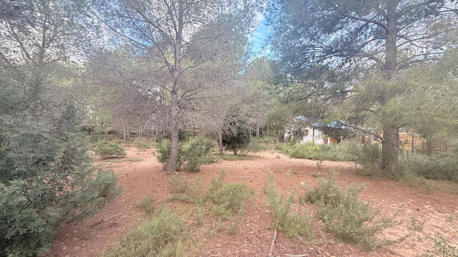 Bouwgrond te koop in Albalat dels Tarongers - € 179.000 (Ref: 9411068)