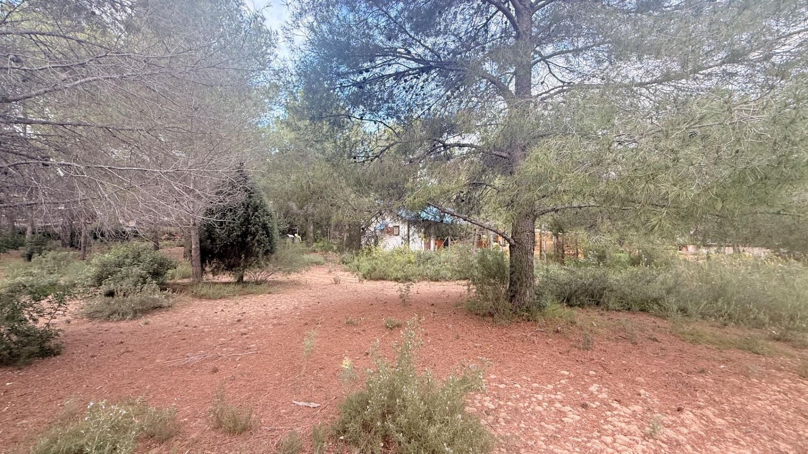 Bouwgrond te koop in Albalat dels Tarongers - € 179.000 (Ref: 9411068)