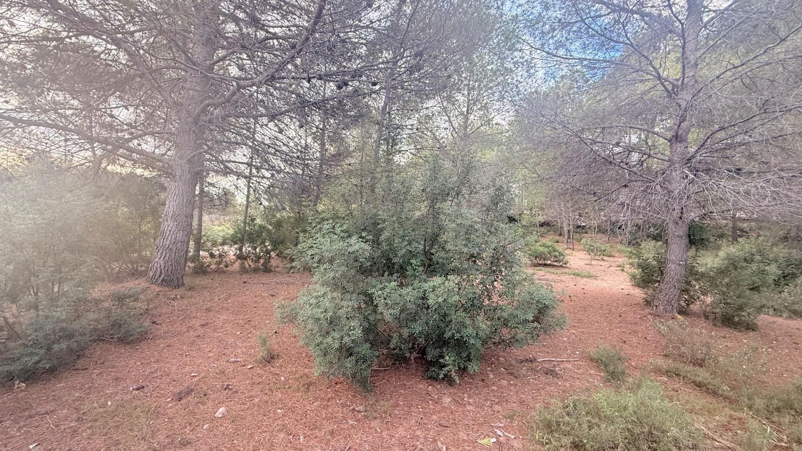 Bouwgrond te koop in Albalat dels Tarongers - € 179.000 (Ref: 9411068)