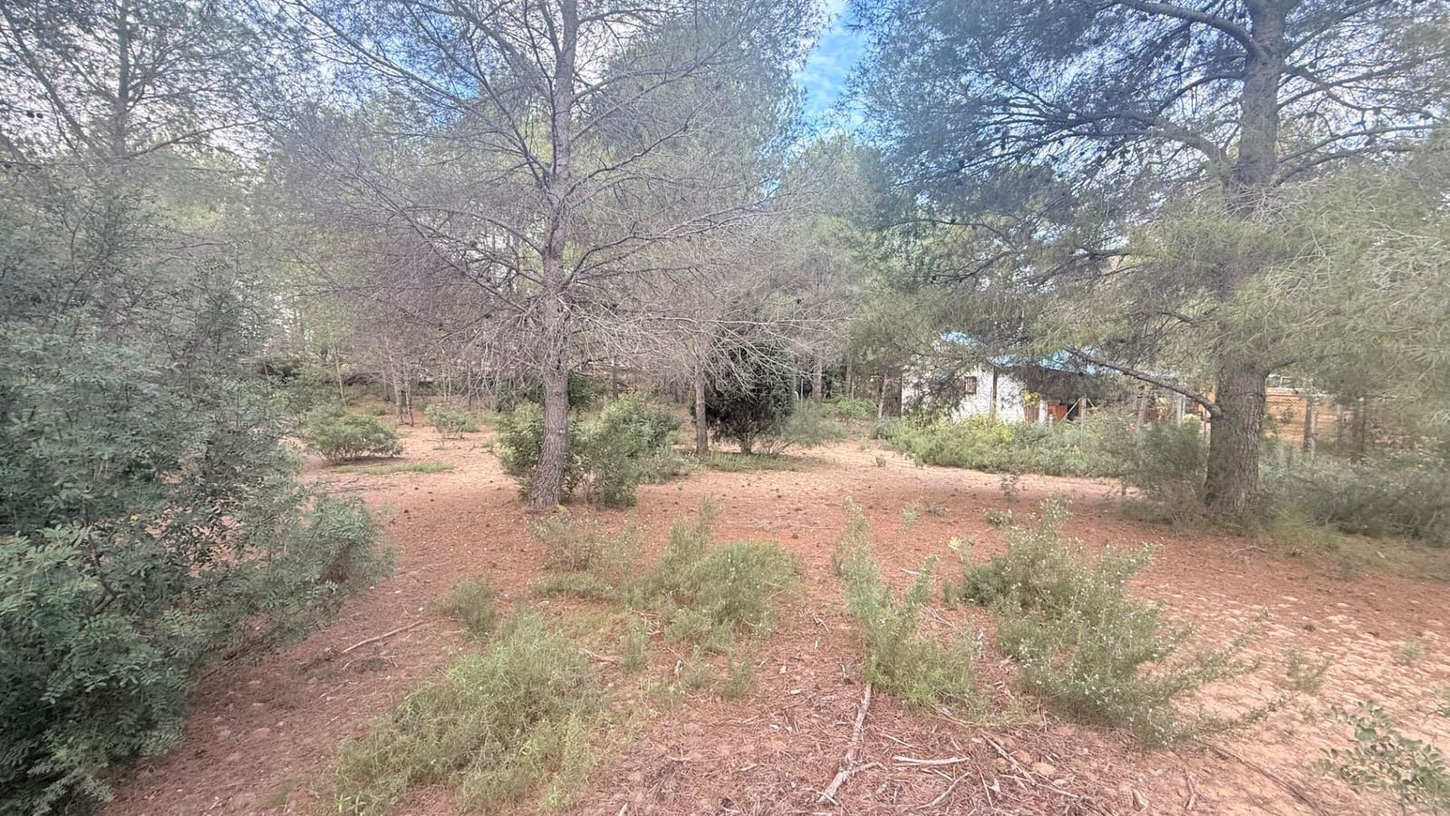 Bouwgrond te koop in Albalat dels Tarongers - € 179.000 (Ref: 9411068)