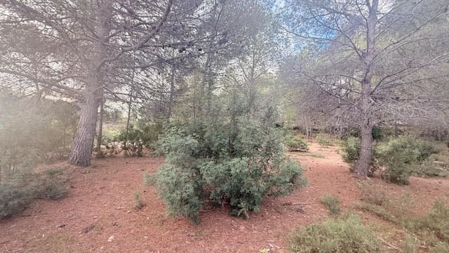 Terrain à Bâtir à vendre à Albalat dels Tarongers - 179 000 € (Ref: 9411068)