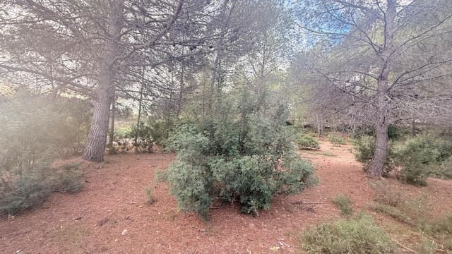 Terrain à Bâtir à vendre à Albalat dels Tarongers - 179 000 € (Ref: 9411068)