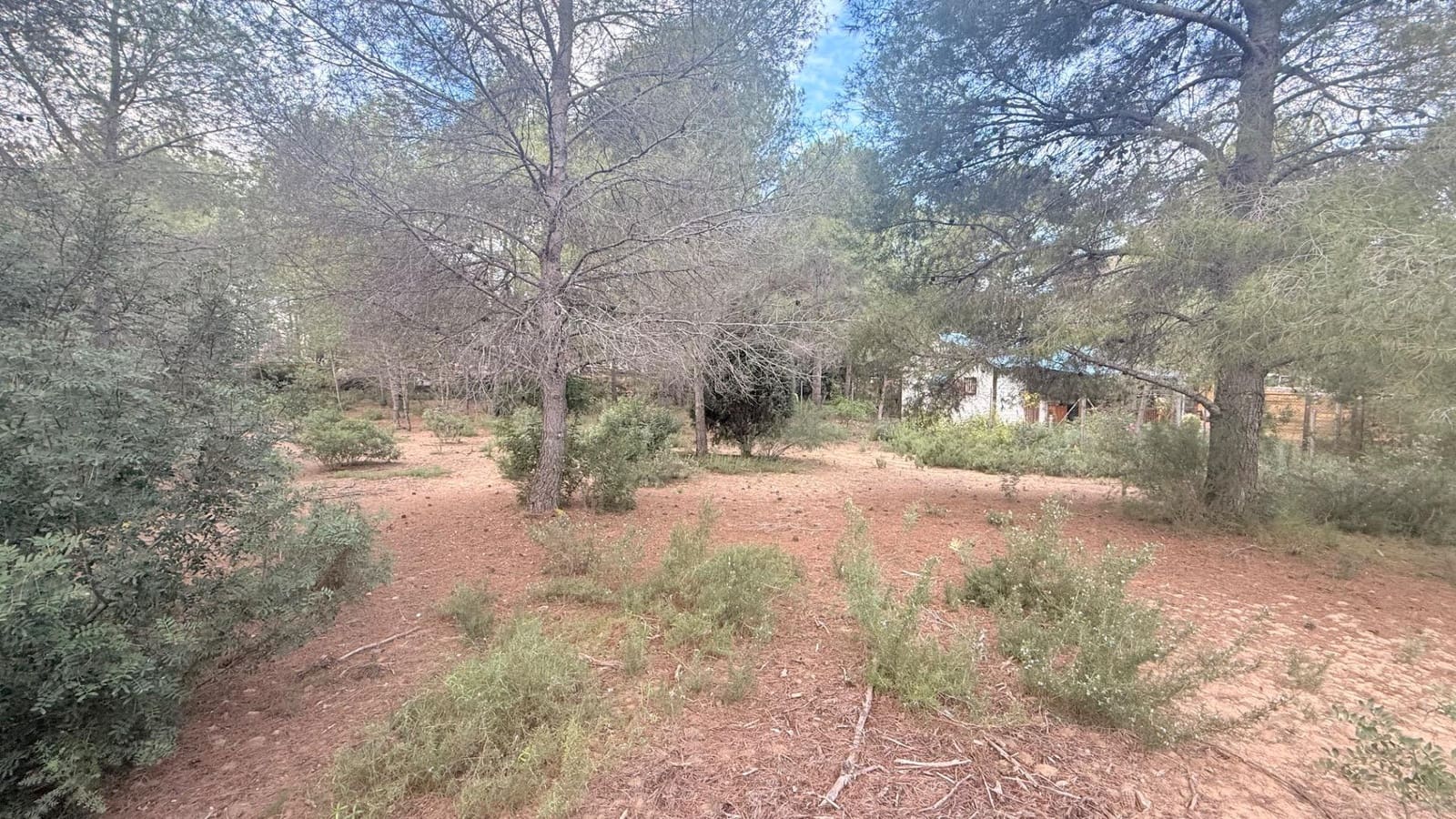 Bouwgrond te koop in Albalat dels Tarongers - € 179.000 (Ref: 9411068)